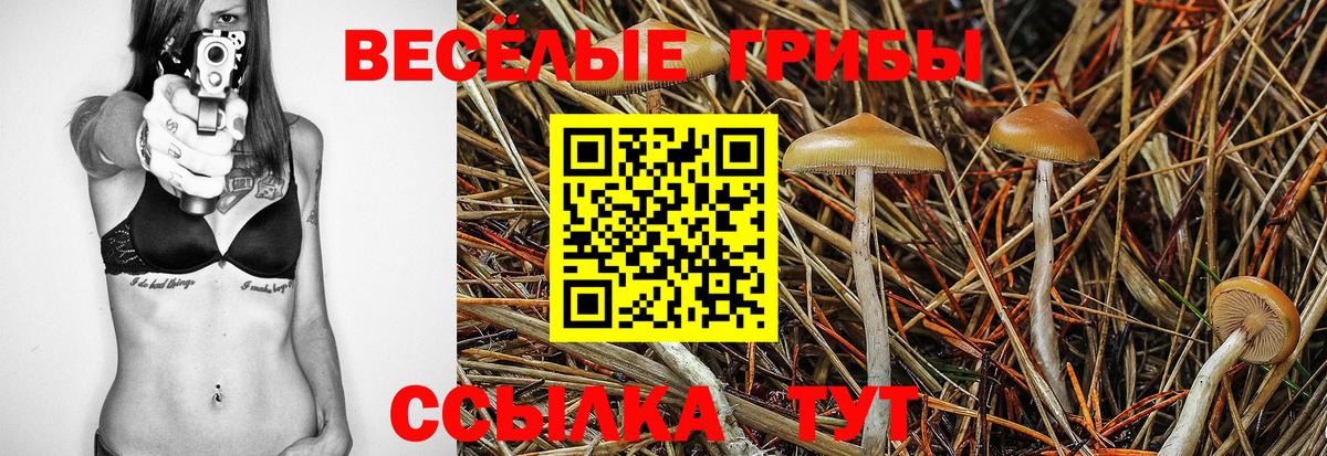 Псилоцибиновые грибы прущие грибы Владивосток